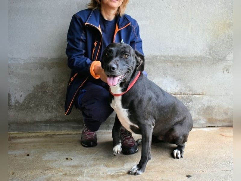 Perlyn - Charmante Ex-Sommerfigur mit Modelpotenzial