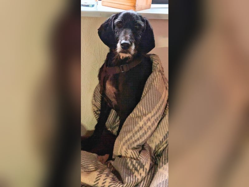 Sabrinetta - Alles, was Du willst, liegt jenseits dieser Mauern