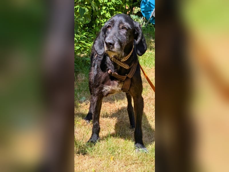 Sabrinetta - Alles, was Du willst, liegt jenseits dieser Mauern