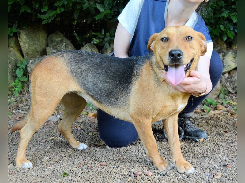 Linnea - Hauptsache ihr großes Herz passt in`s Körbchen Linnea - Hauptsache ihr großes Herz passt in`s Körbchen
