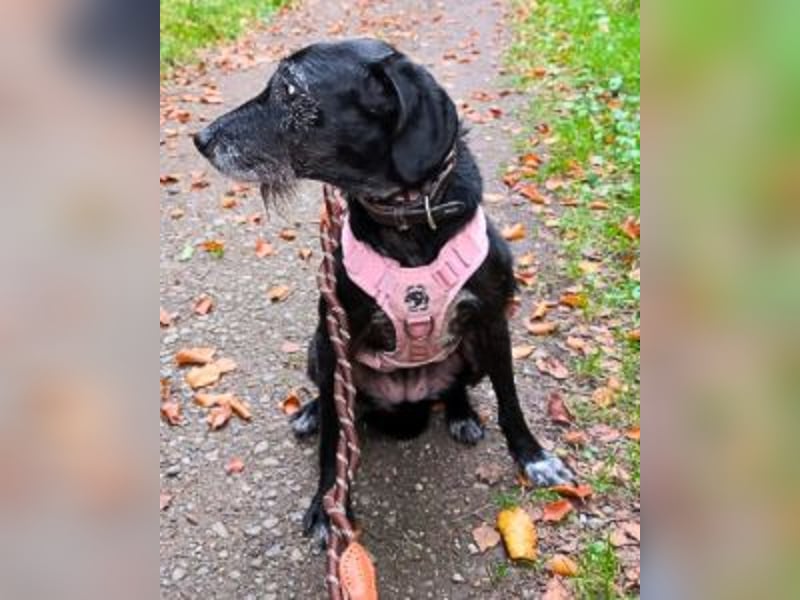 Sabrinetta - Alles, was Du willst, liegt jenseits dieser Mauern