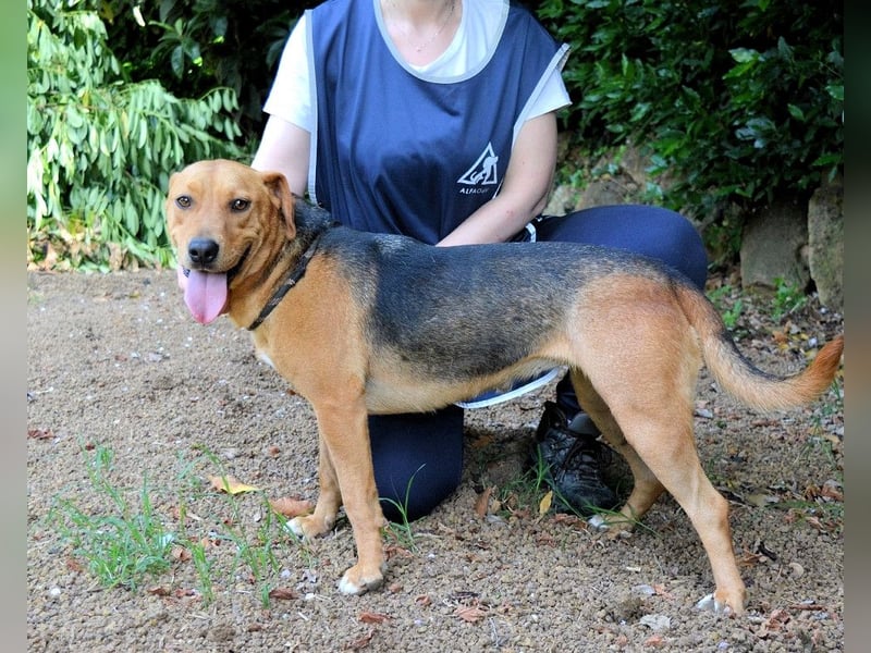 Linnea - Hauptsache ihr großes Herz passt in`s Körbchen Linnea - Hauptsache ihr großes Herz passt in`s Körbchen