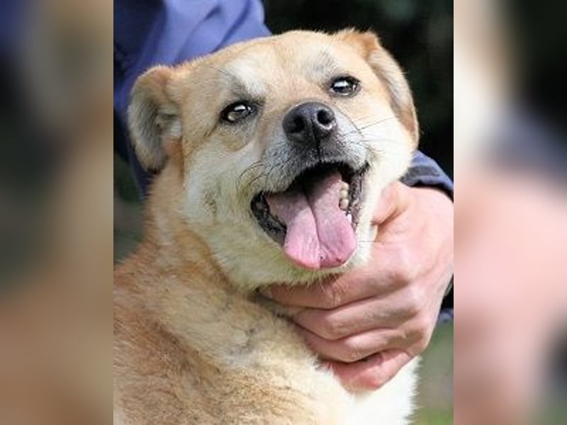 Stanwick - Nachholbedarf