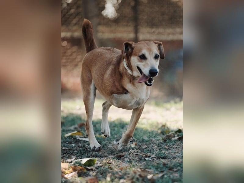 Fortuna - Glück wird mehr, wenn man es teilt