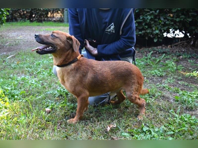 Monaldo - In der Ruhe liegt die Kraft!