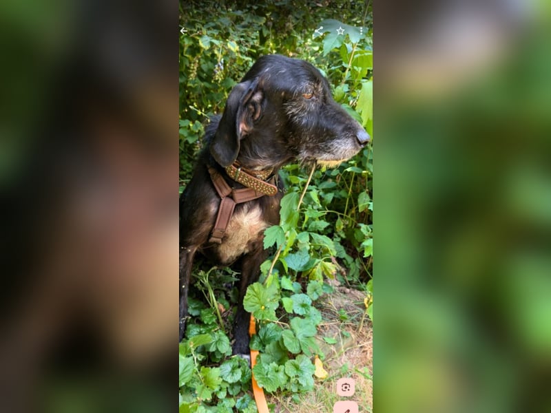 Sabrinetta - Alles, was Du willst, liegt jenseits dieser Mauern