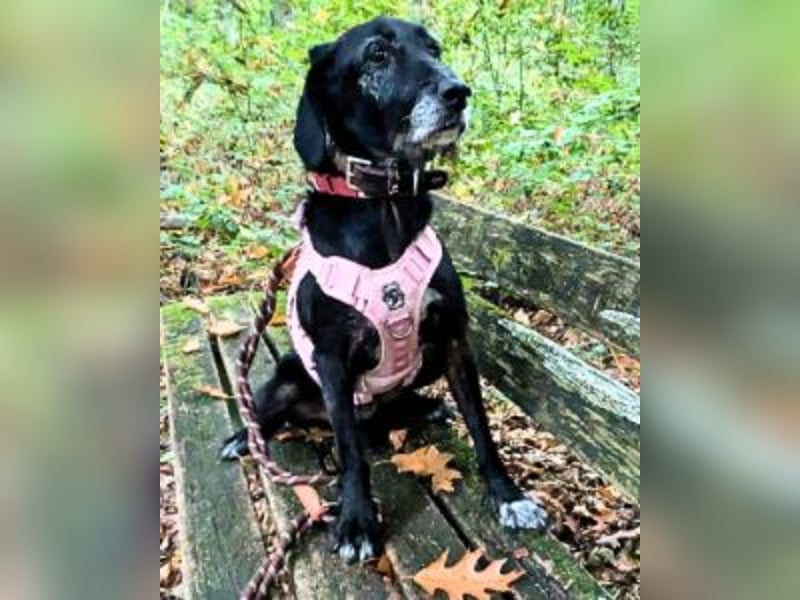 Sabrinetta - Alles, was Du willst, liegt jenseits dieser Mauern