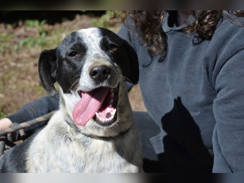 Nikolina - Schüchterner Engel auf der Suche nach dem Glück