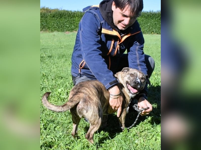 Dachsy - liebt ihn denn gar niemand?