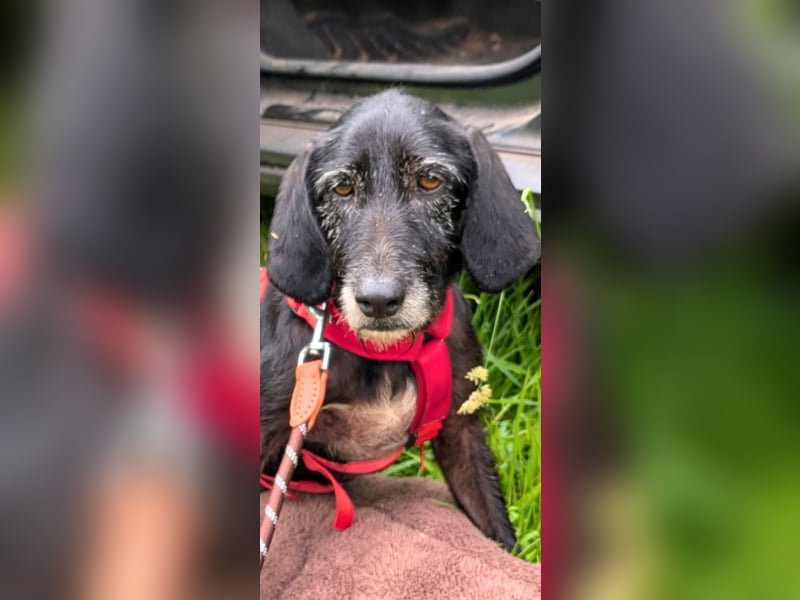 Sabrinetta - Alles, was Du willst, liegt jenseits dieser Mauern