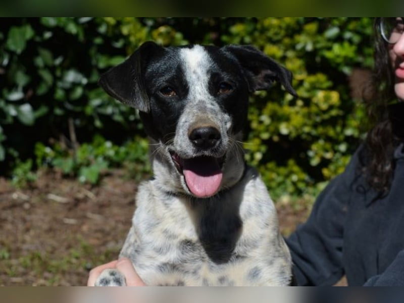 Nikolina - Schüchterner Engel auf der Suche nach dem Glück