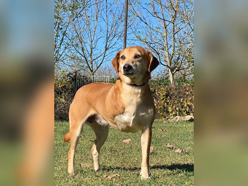 Fortuna - Glück wird mehr, wenn man es teilt