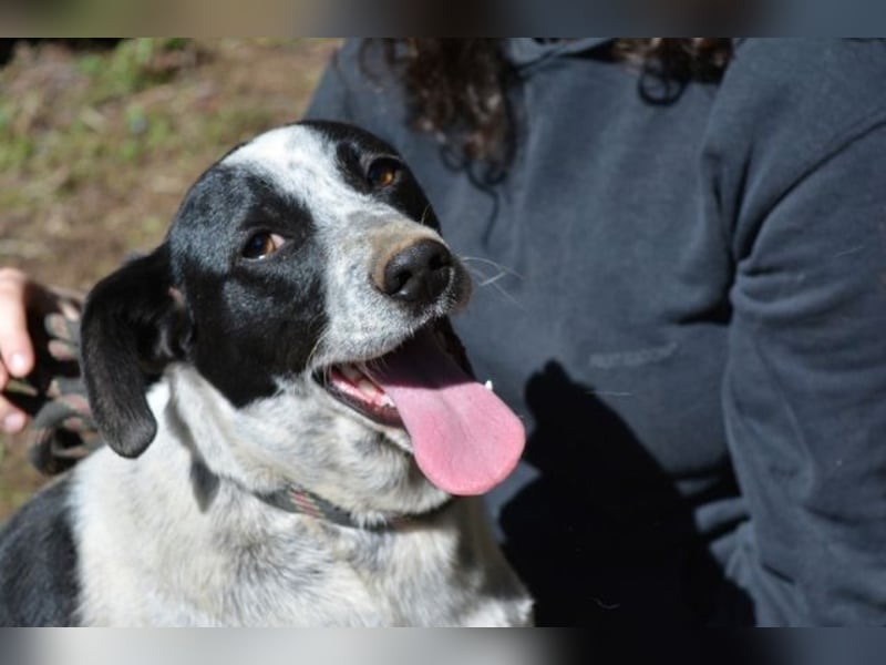 Nikolina - Schüchterner Engel auf der Suche nach dem Glück