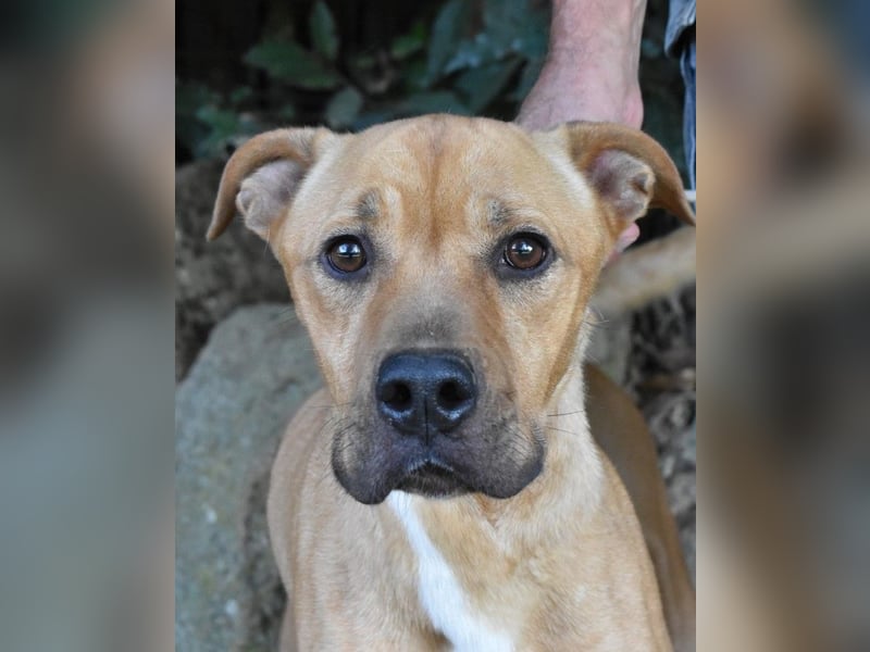 Moises - Wie kannst Du sein? Moises - Wie kannst Du sein?