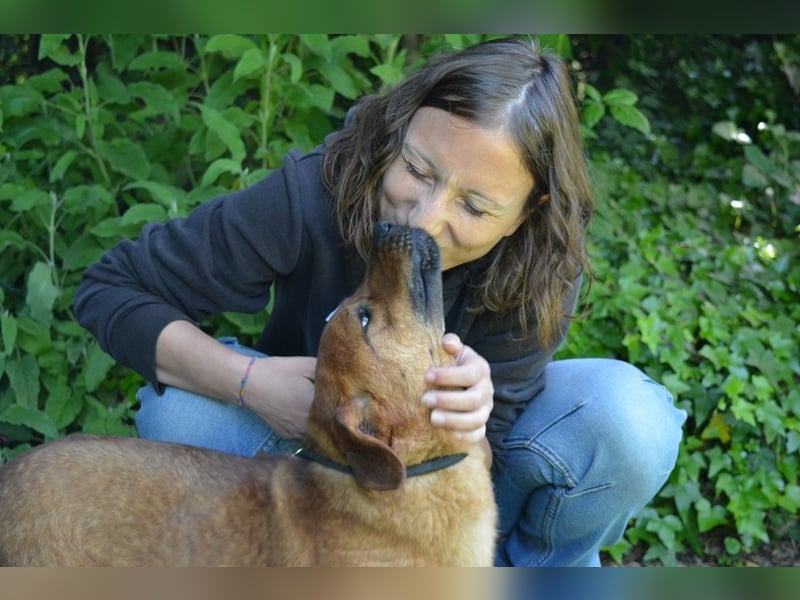 Monaldo - In der Ruhe liegt die Kraft!