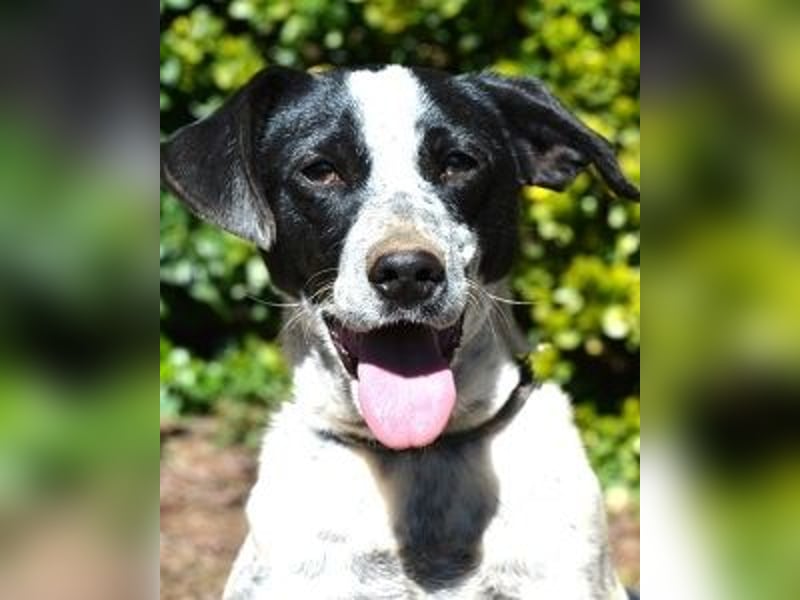 Nikolina - Schüchterner Engel auf der Suche nach dem Glück