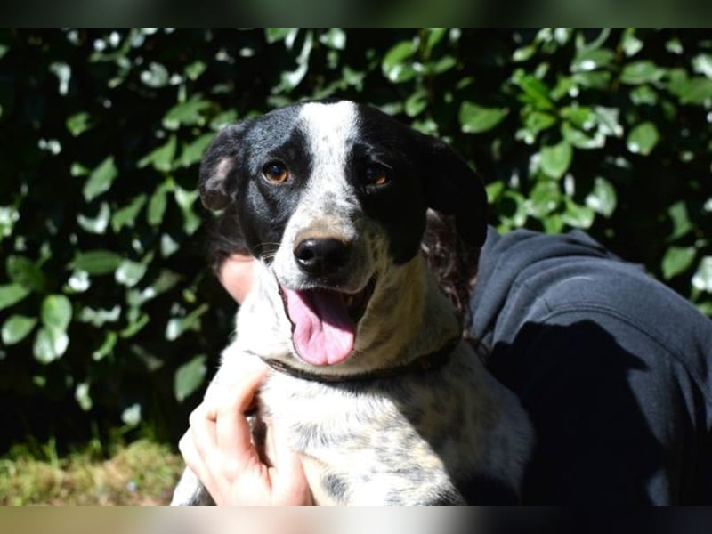 Nikolina - Schüchterner Engel auf der Suche nach dem Glück