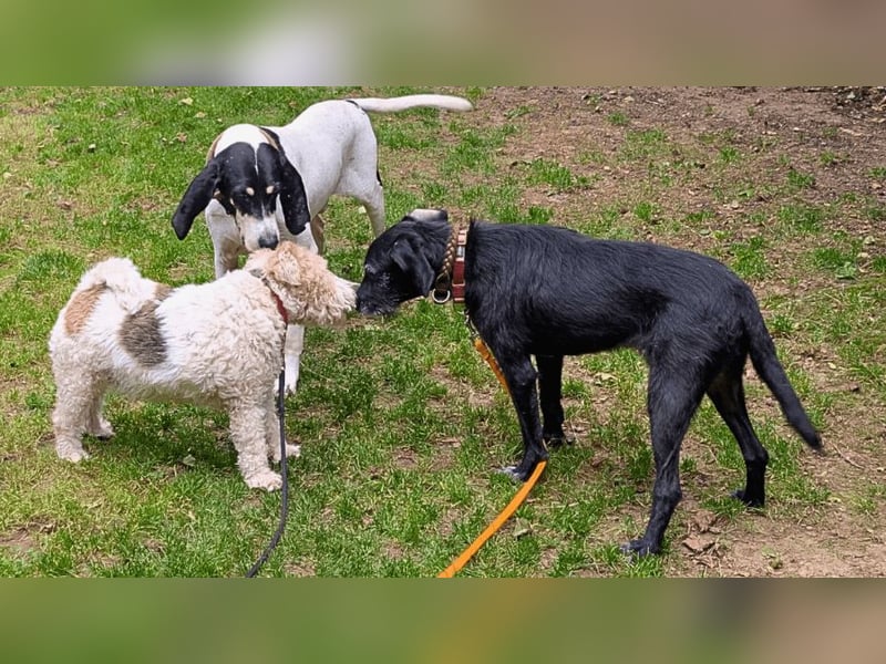 Sabrinetta - Alles, was Du willst, liegt jenseits dieser Mauern