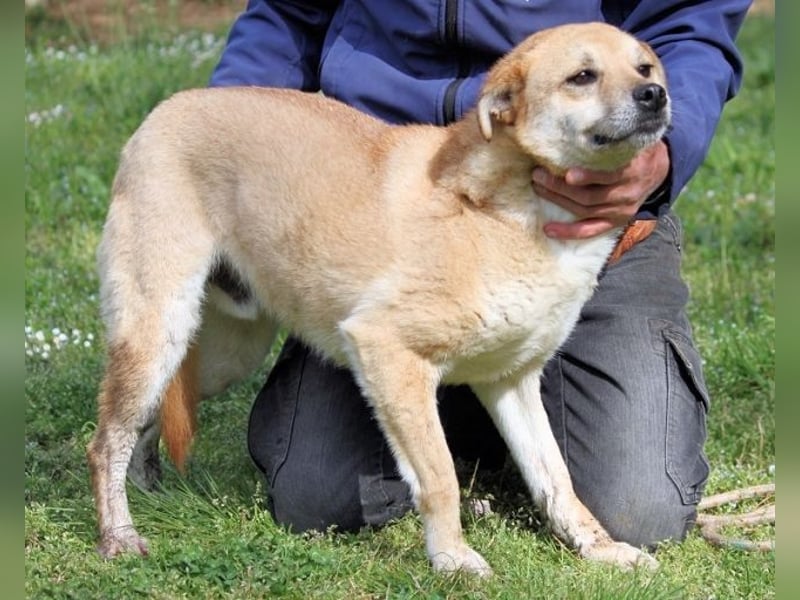 Stanwick - Nachholbedarf