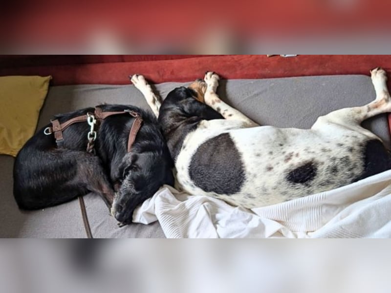 Sabrinetta - Alles, was Du willst, liegt jenseits dieser Mauern