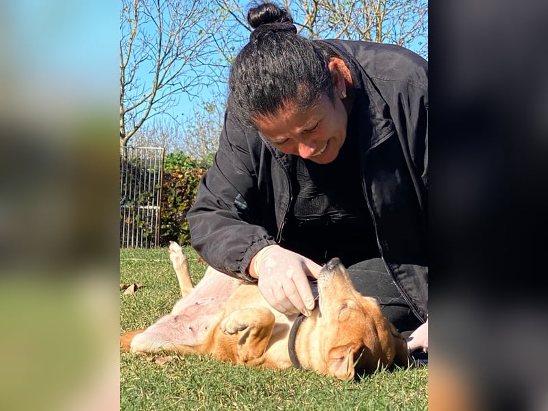 Fortuna - Glück wird mehr, wenn man es teilt