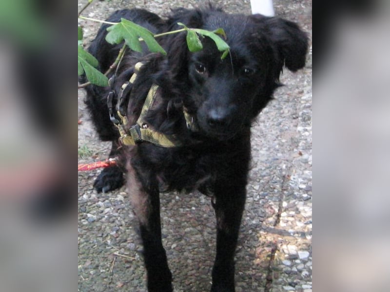 Javier - eine Welt, tiefer und dunkler als der Ozean