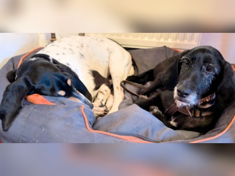 Sabrinetta - Alles, was Du willst, liegt jenseits dieser Mauern