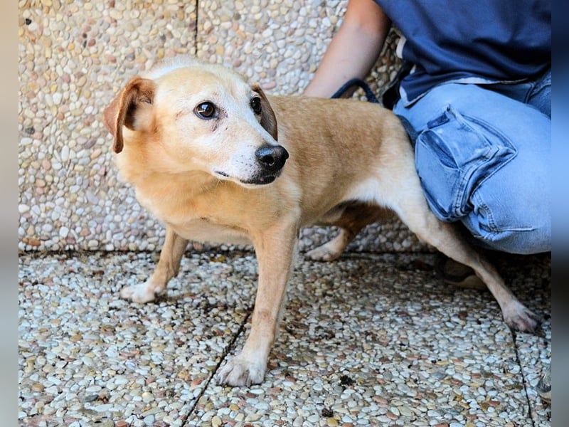 Walker - Die Geschichte vom verlorenen Schatten