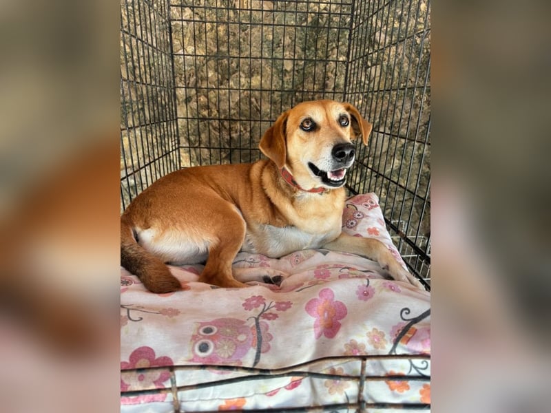 Fortuna - Glück wird mehr, wenn man es teilt