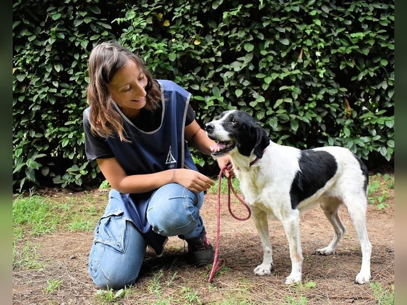Bierenike - NOTFALL - Traumhund sucht bessere Zukunft
