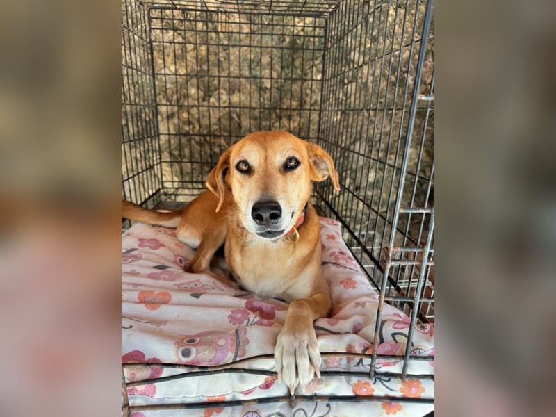 Fortuna - Glück wird mehr, wenn man es teilt