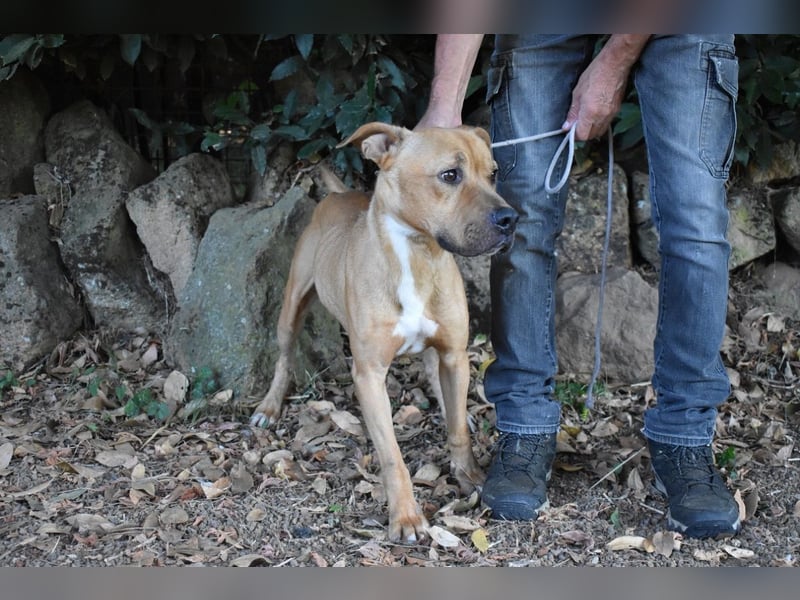 Moises - Wie kannst Du sein? Moises - Wie kannst Du sein?