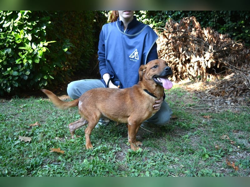 Monaldo - In der Ruhe liegt die Kraft!