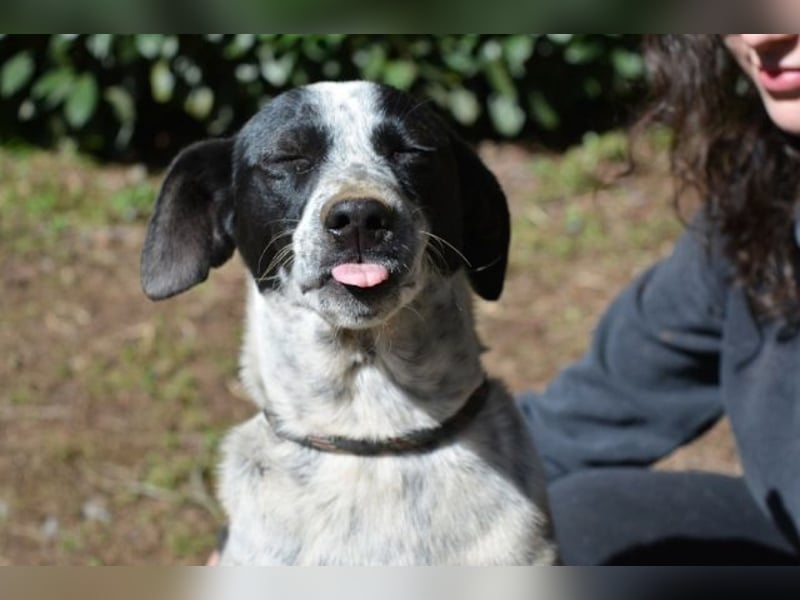 Nikolina - Schüchterner Engel auf der Suche nach dem Glück