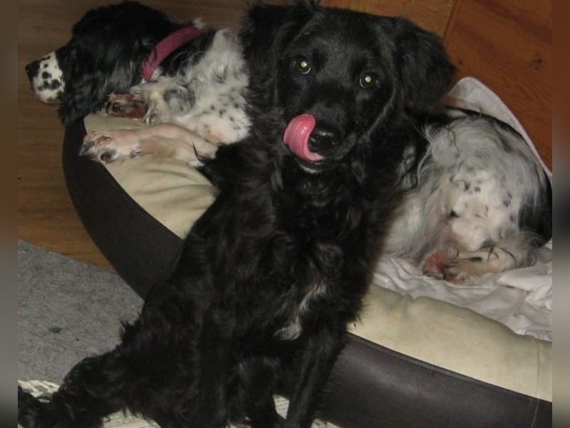 Javier - eine Welt, tiefer und dunkler als der Ozean