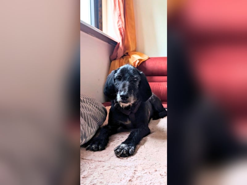 Sabrinetta - Alles, was Du willst, liegt jenseits dieser Mauern