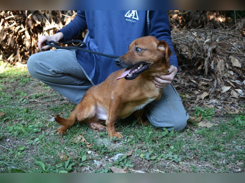 Monaldo - In der Ruhe liegt die Kraft!