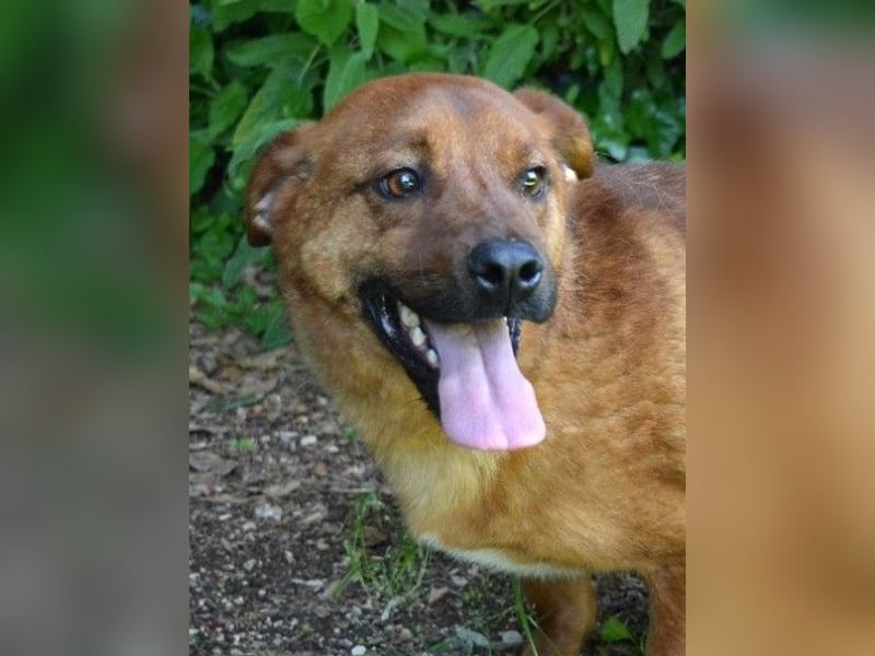 Monaldo - In der Ruhe liegt die Kraft!