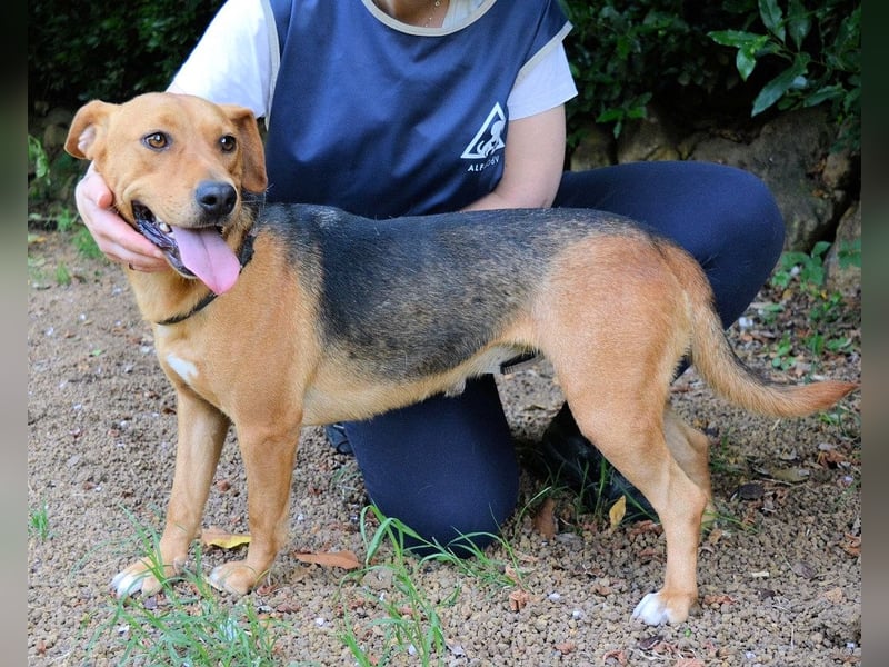 Linnea - Hauptsache ihr großes Herz passt in`s Körbchen Linnea - Hauptsache ihr großes Herz passt in`s Körbchen
