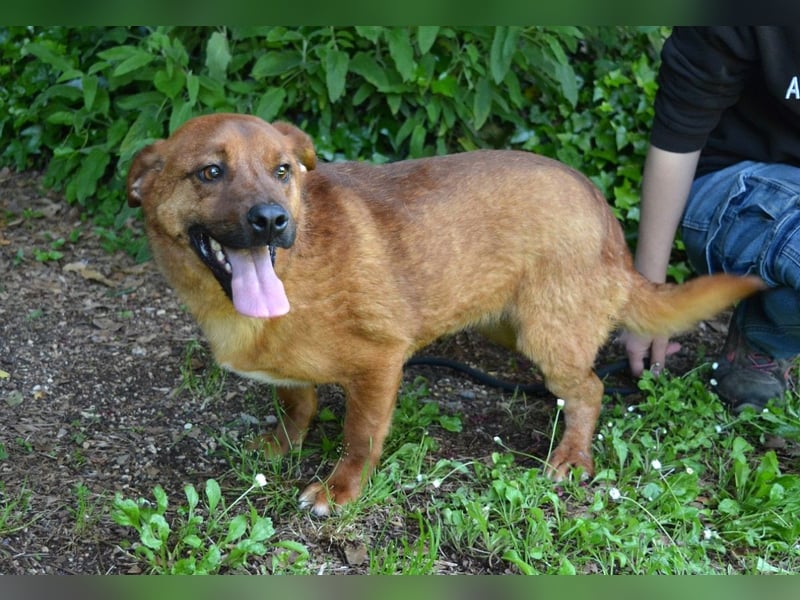 Monaldo - In der Ruhe liegt die Kraft!