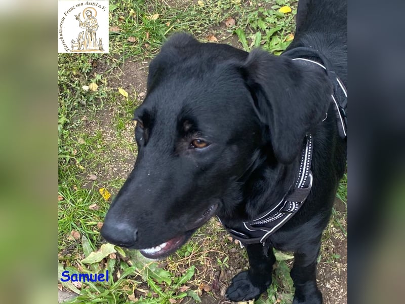 Samuel – der liebevolle Teenager