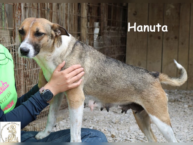 Hanuta – die Seele einer Mama, die nach Freiheit sucht! Hanuta – die Seele einer Mama, die nach Freiheit sucht!