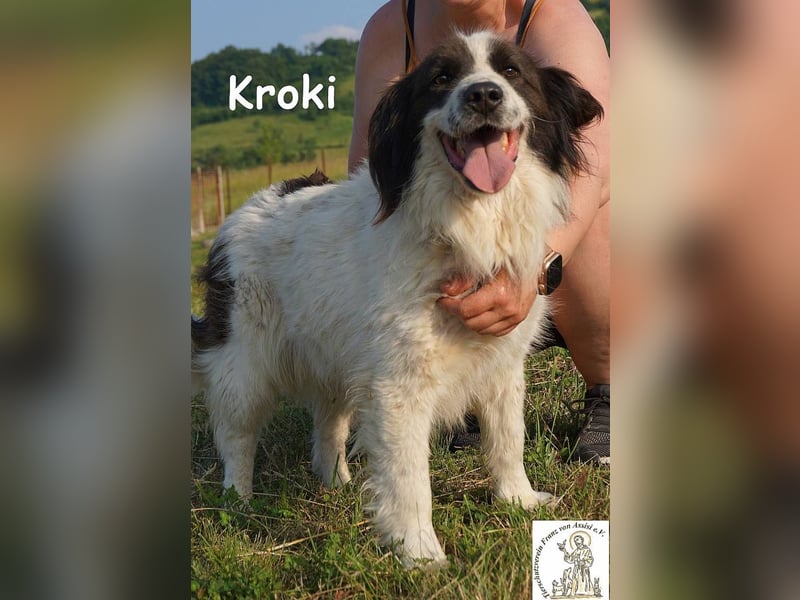 Kroki – Ein Blick, der genügt