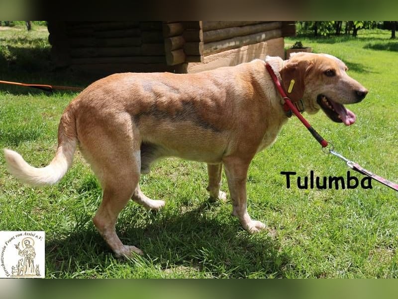 Tulumba – verschlafen schauen, sich verlieben – fertig!