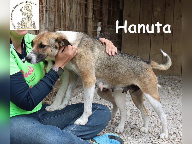 Hanuta – die Seele einer Mama, die nach Freiheit sucht! Hanuta – die Seele einer Mama, die nach Freiheit sucht!