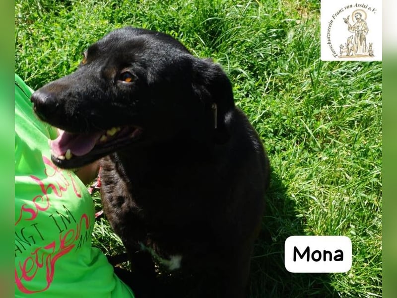 Mona – Die Lady mit dem gewissen Etwas!