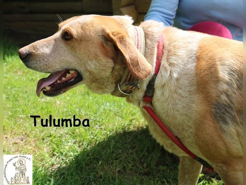 Tulumba – verschlafen schauen, sich verlieben – fertig!