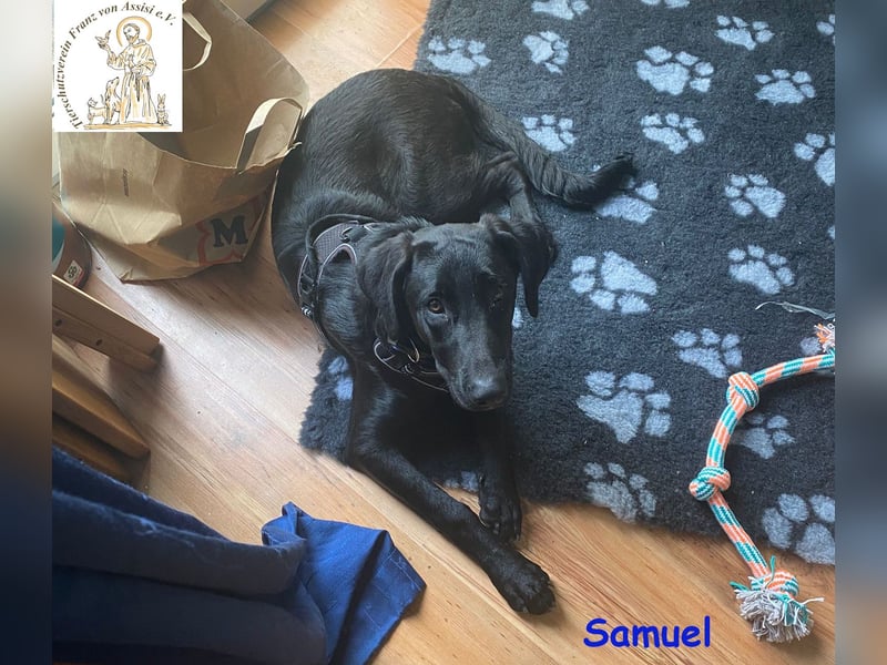 Samuel – der liebevolle Teenager