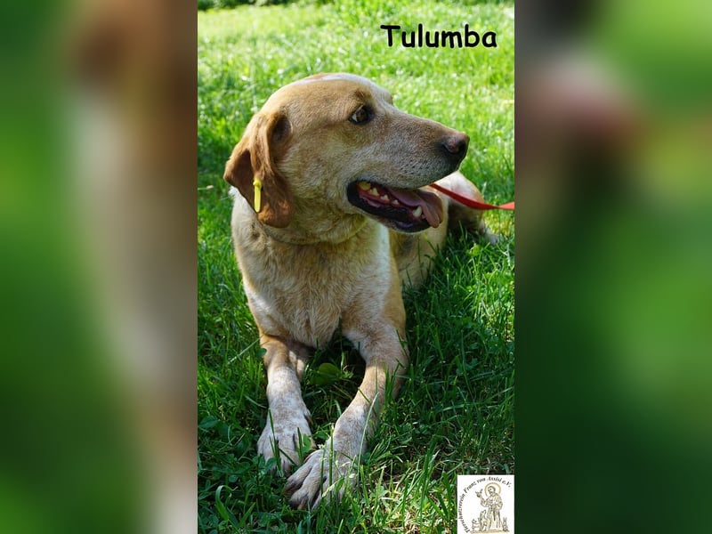 Tulumba – verschlafen schauen, sich verlieben – fertig!