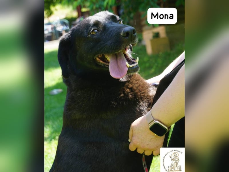 Mona – Die Lady mit dem gewissen Etwas!